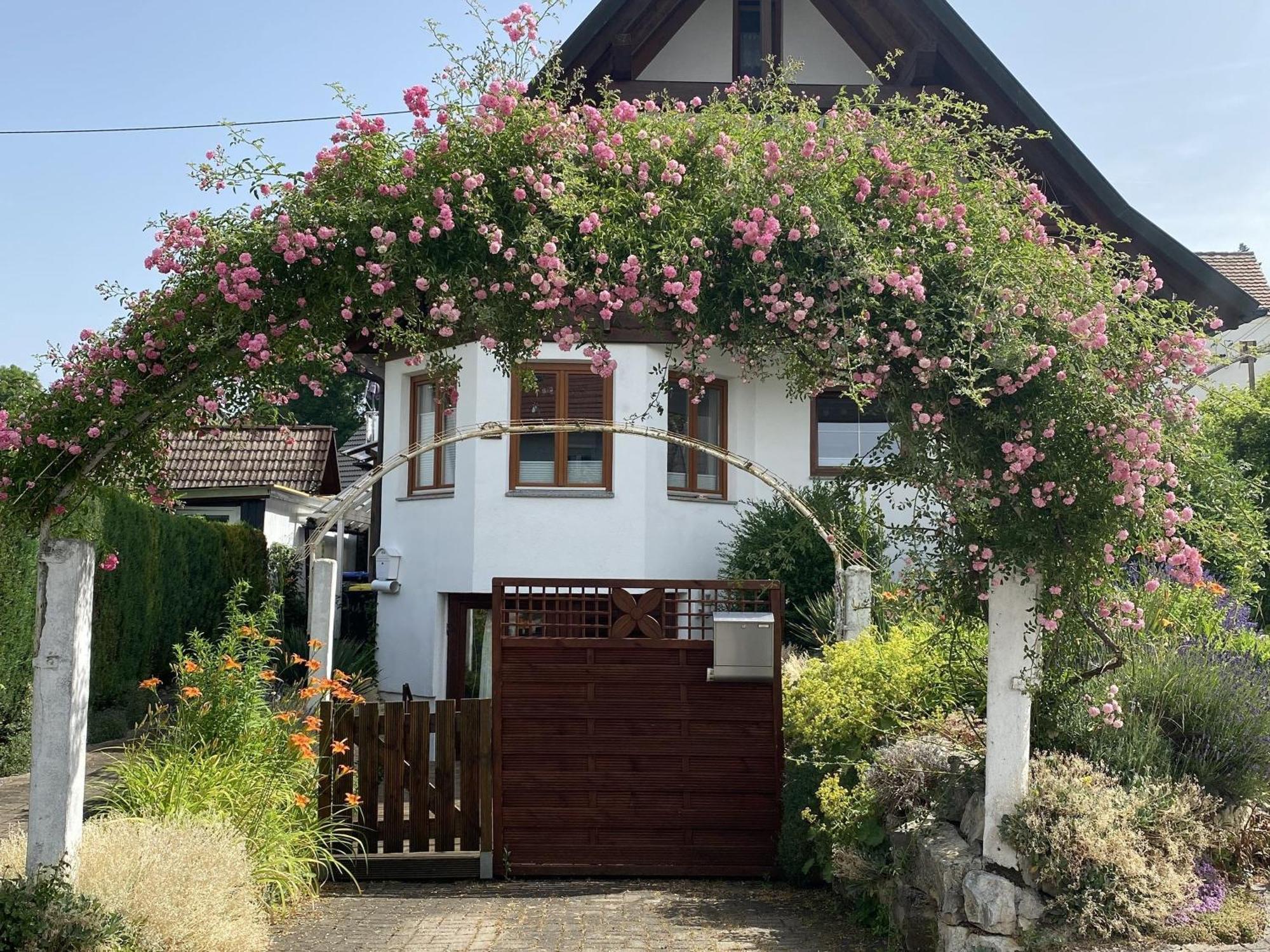 Dalea Lägenhet Bad Waldsee Exteriör bild